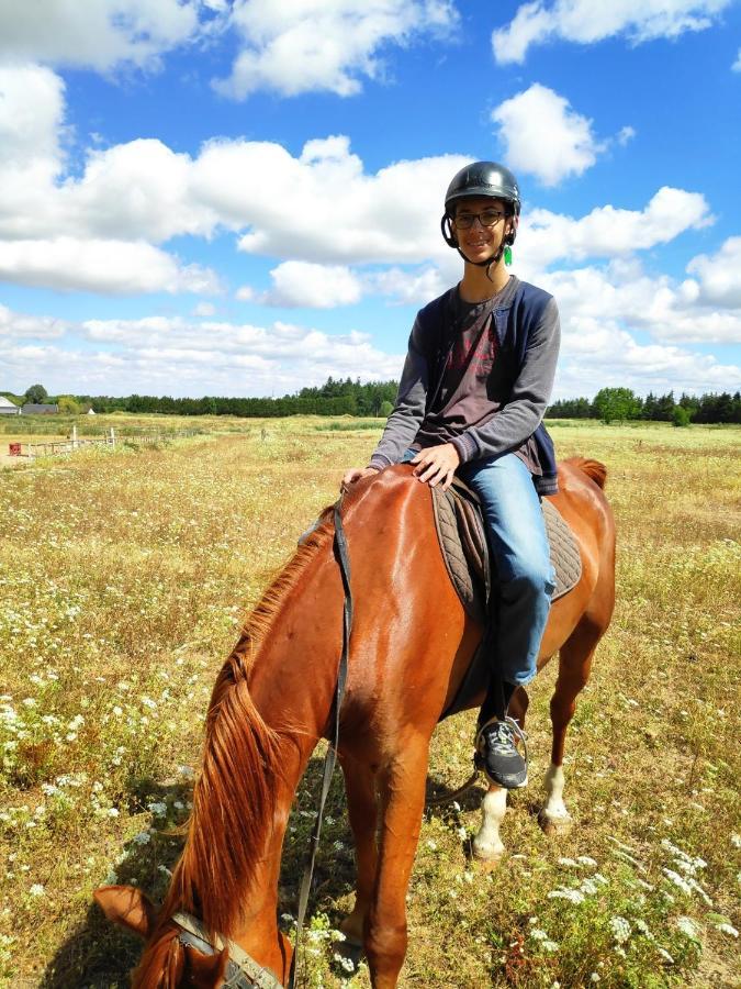 モンルイ・シュル・ロワール Le Petit Husseauヴィラ エクステリア 写真